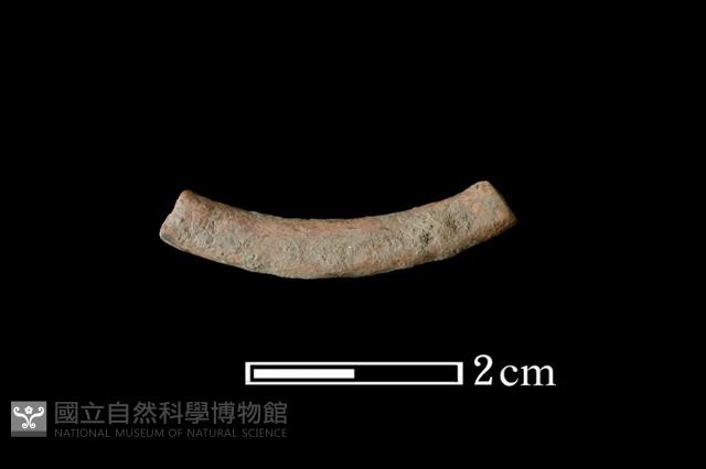 陶環藏品圖，第2張