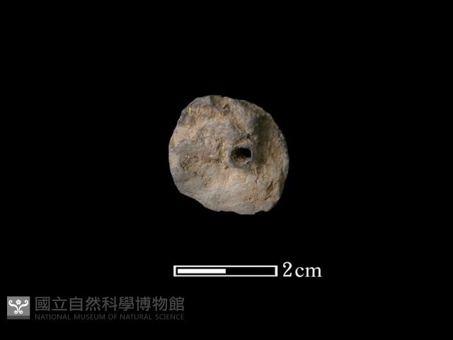 紡輪藏品圖，第1張