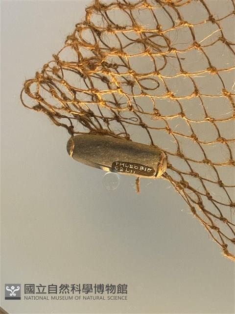 網墜藏品圖，第1張