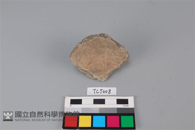 陶片藏品圖，第1張