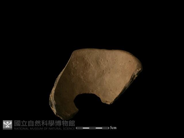 陶缽藏品圖，第1張