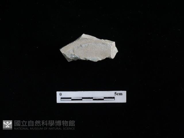 瓷碗藏品圖，第1張