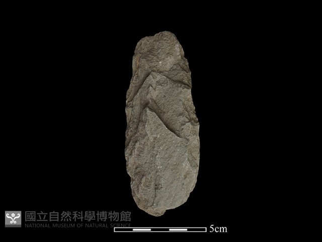 斧鋤形器藏品圖，第2張