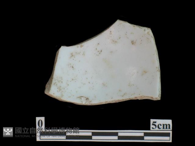 帶紋飾瓷片藏品圖，第1張