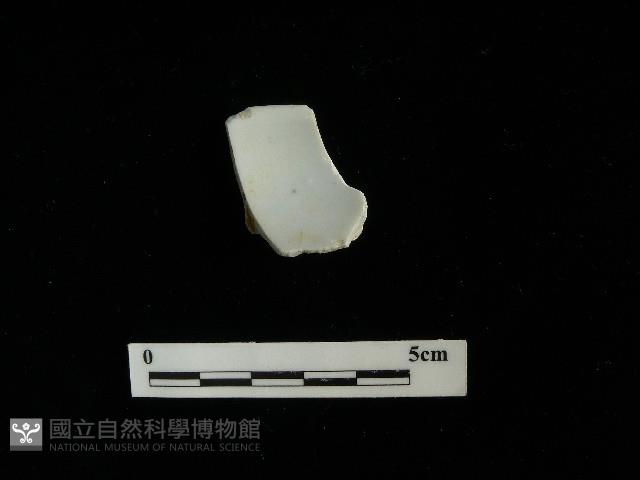 瓷杯藏品圖，第1張