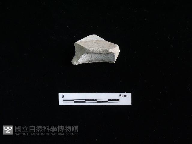 瓷碗藏品圖，第2張