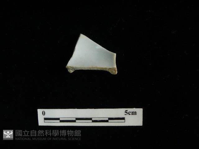 瓷杯藏品圖，第2張