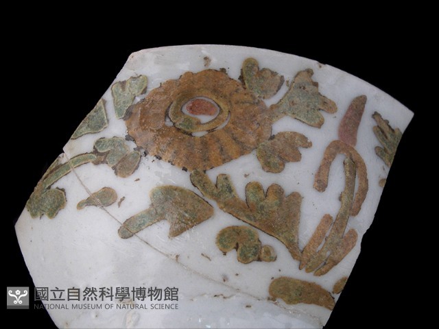 帶紋飾瓷片藏品圖，第1張