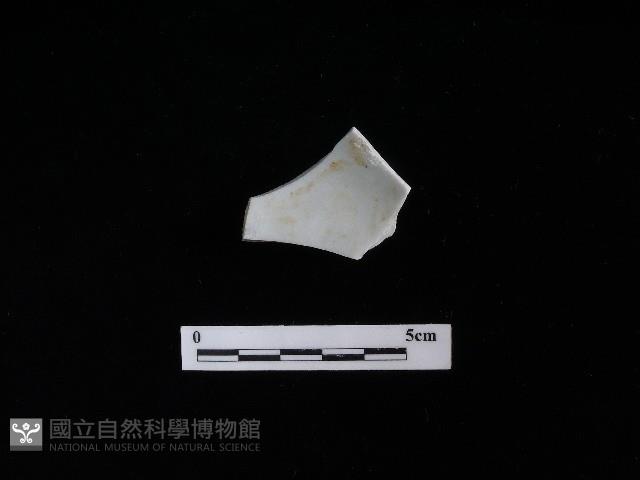 瓷碗藏品圖，第1張