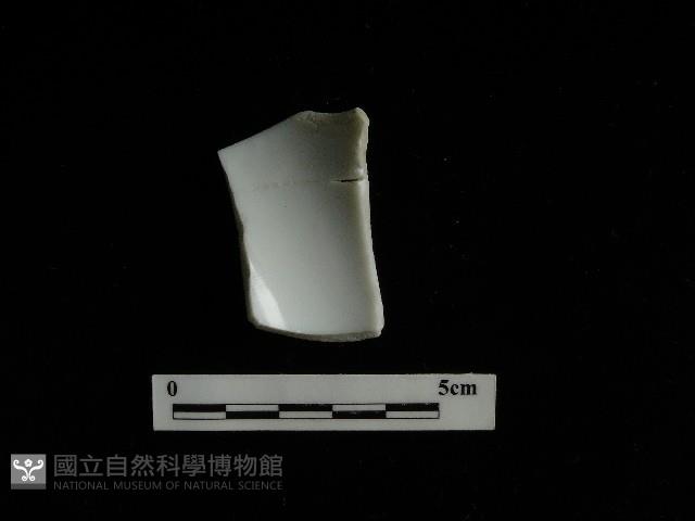 瓷杯藏品圖，第3張