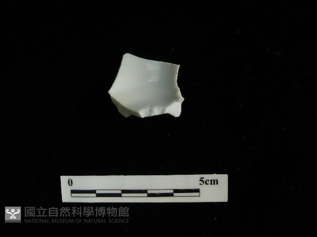 瓷杯藏品圖，第1張