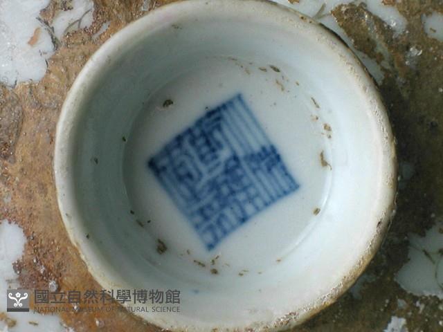 蓋碗藏品圖，第2張