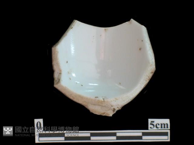 帶紋飾瓷片藏品圖，第1張