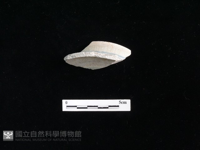 瓷碗藏品圖，第2張