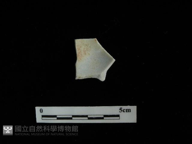 瓷杯藏品圖，第1張