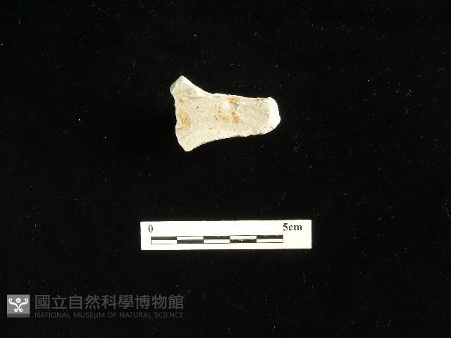 瓷碗藏品圖，第1張