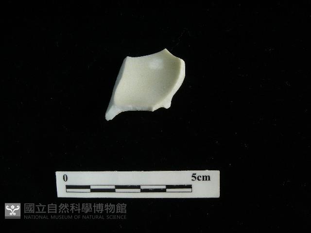 瓷杯藏品圖，第2張