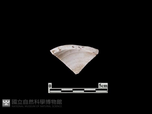 帶紋飾瓷片藏品圖，第2張