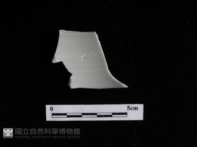 瓷片藏品圖，第1張