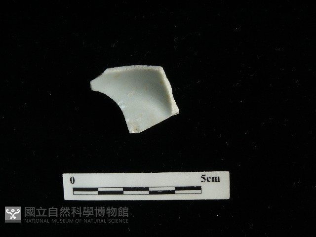 瓷杯藏品圖，第1張