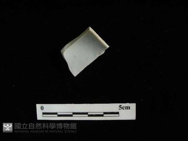 瓷杯藏品圖，第2張