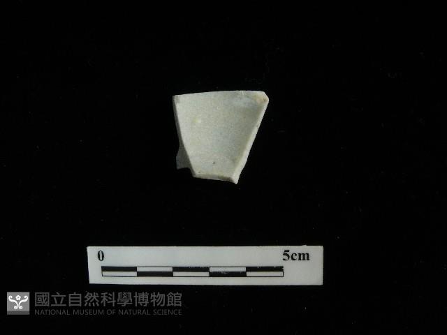 瓷杯藏品圖，第2張