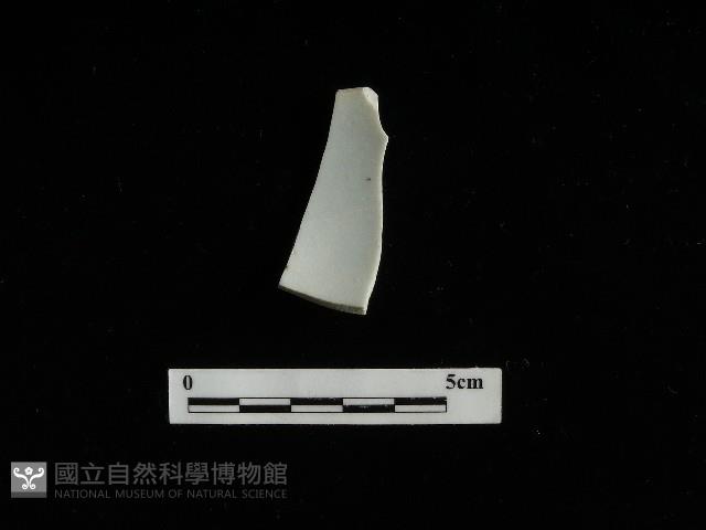 瓷碗藏品圖，第1張