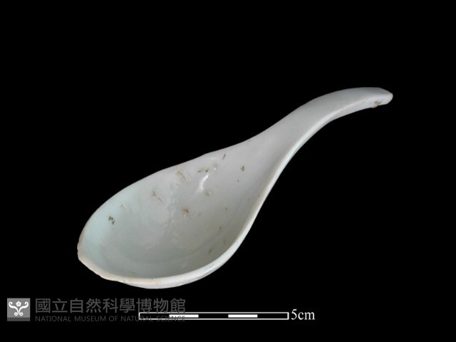 湯匙藏品圖，第2張
