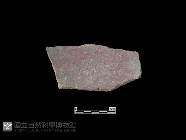 陶片藏品圖，第1張