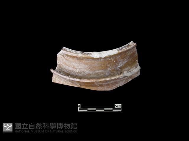 陶甕藏品圖，第2張