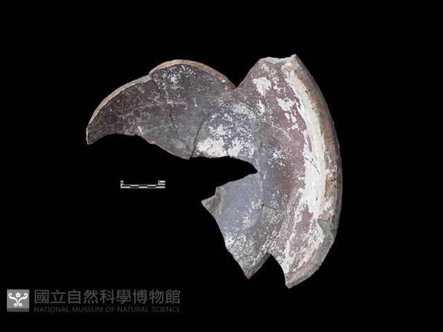 陶缸藏品圖，第2張