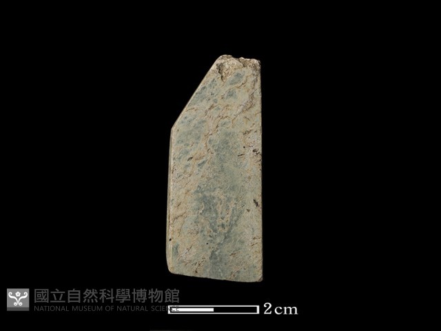 錛鑿形器藏品圖，第2張
