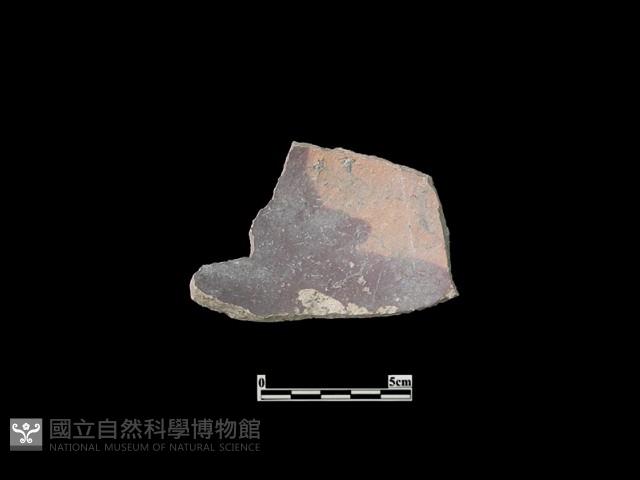 陶片藏品圖，第1張