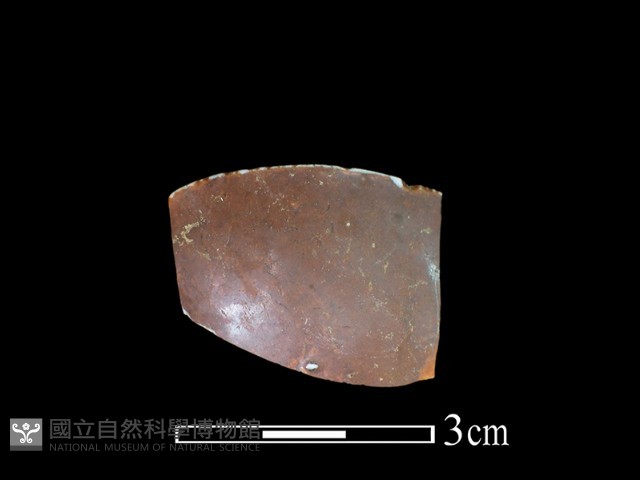 湯匙藏品圖，第1張