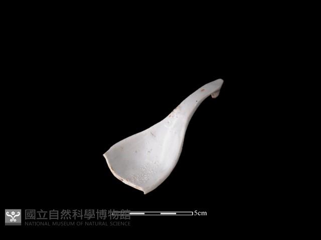 湯匙藏品圖，第2張