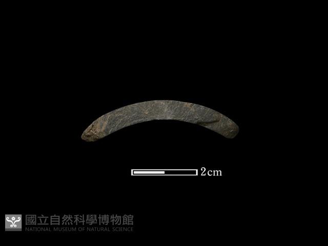 石環藏品圖，第2張