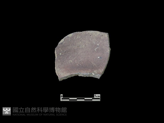 陶片藏品圖，第1張