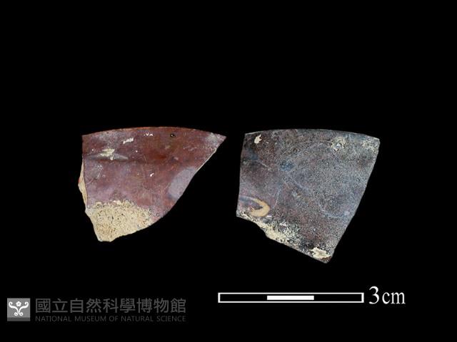 湯匙藏品圖，第1張