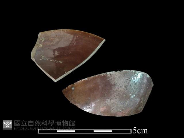 湯匙藏品圖，第2張