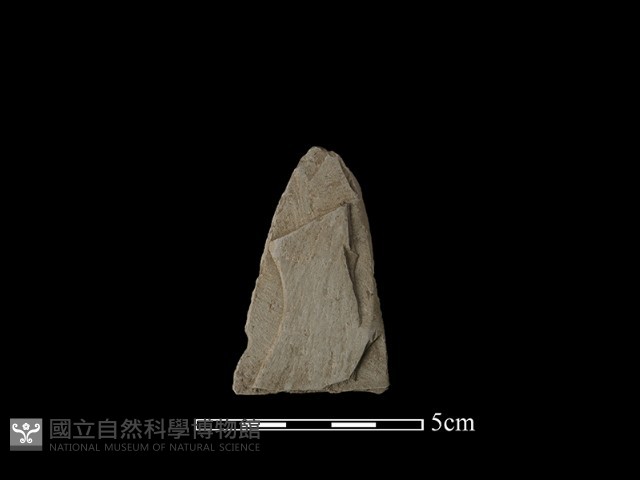 矛鏃形器藏品圖，第2張