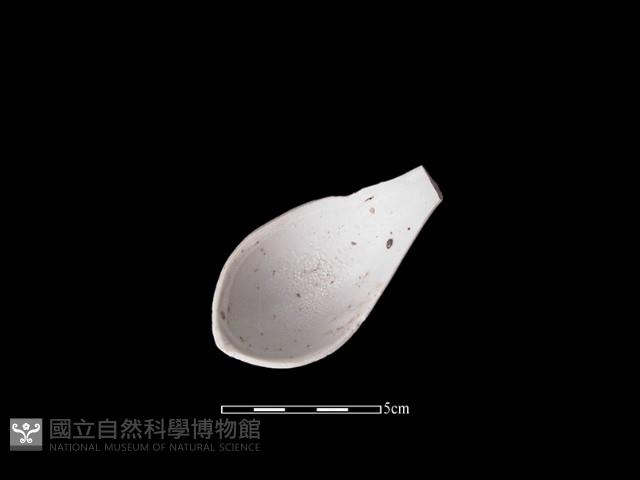 湯匙藏品圖，第2張