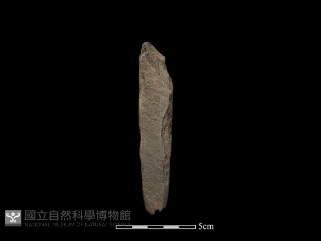 錛鑿形器藏品圖，第2張