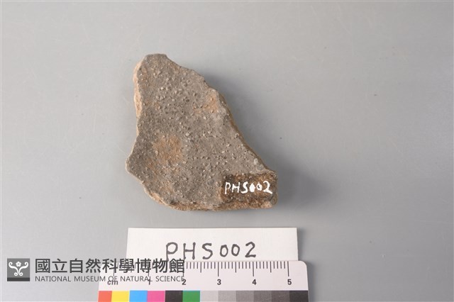 陶片藏品圖，第2張
