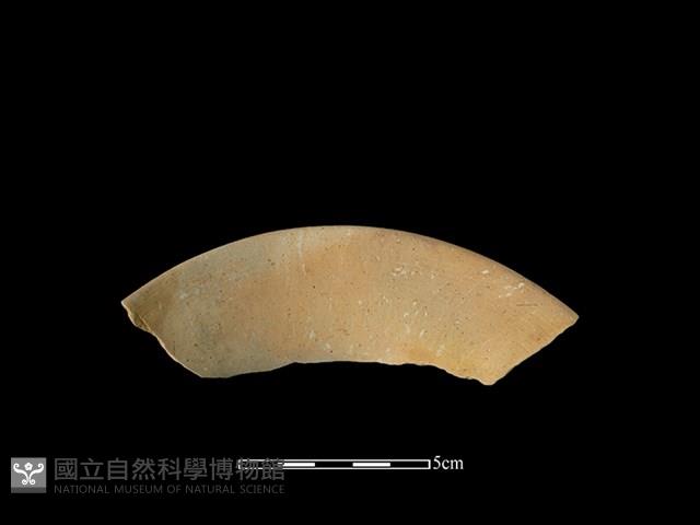 陶罐藏品圖，第2張