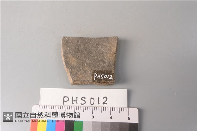 陶片藏品圖，第2張