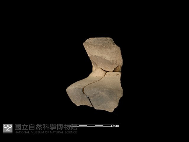 陶瓶藏品圖，第2張