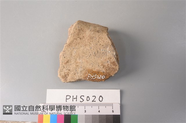 陶片藏品圖，第2張