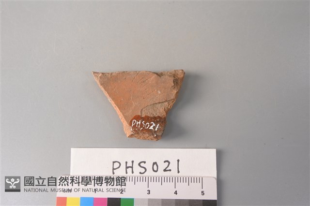 陶片藏品圖，第2張