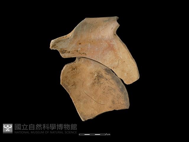 陶罐藏品圖，第2張