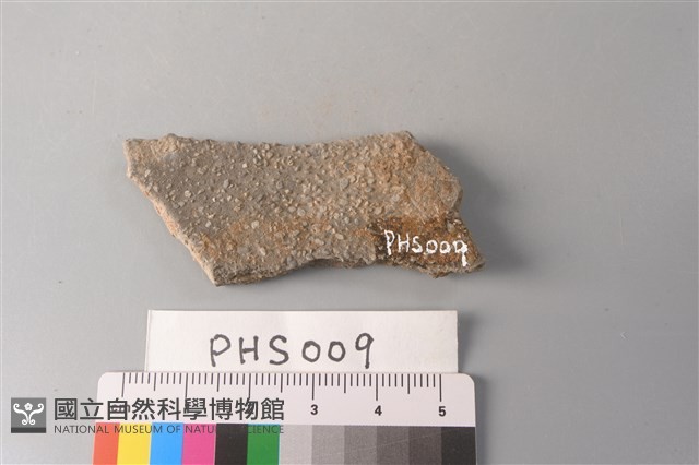 陶片藏品圖，第2張